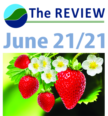 Blue Mountains Review - June 21st Edition
